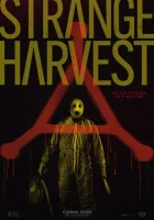  Странный урожай смотреть онлайн (2024) бесплатно в HD